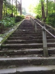 IMG_1720.jpg